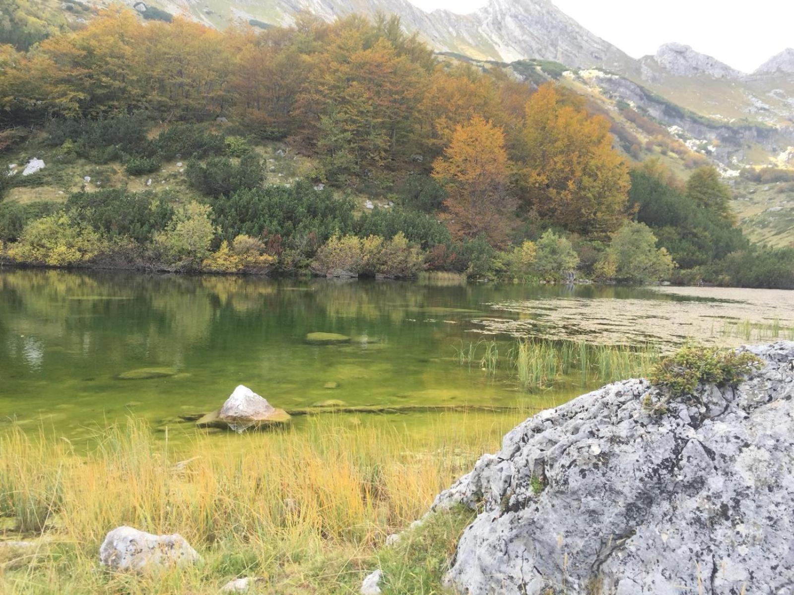 Chalet Kovacevic Žabljak Eksteriør billede