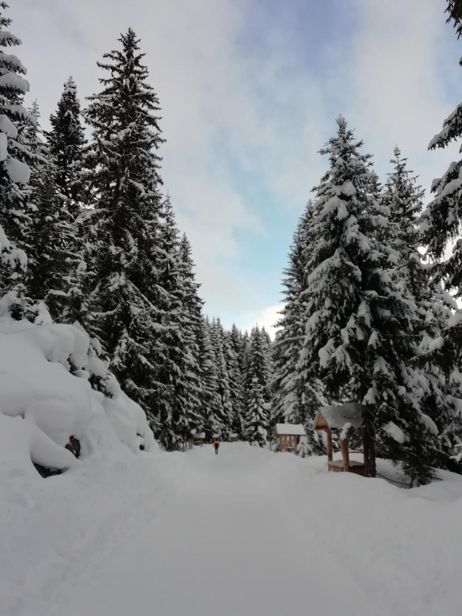 Chalet Kovacevic Žabljak Eksteriør billede